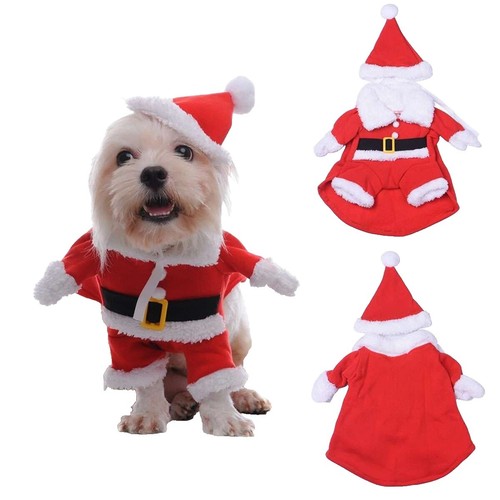 Petsmart Merry Bright BLING Mrs Santa Claus DOG Costume Dress Christmas S |  eBay