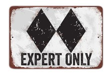 Vintage "Expert Only Double Black" Metal Ski Sign Wall Art - Rustic Ski Lodge De