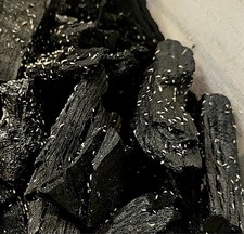 Tropical Pink Springtails Coecobrya sp. Live Culture 4-oz cup BUY ONE GET ONE