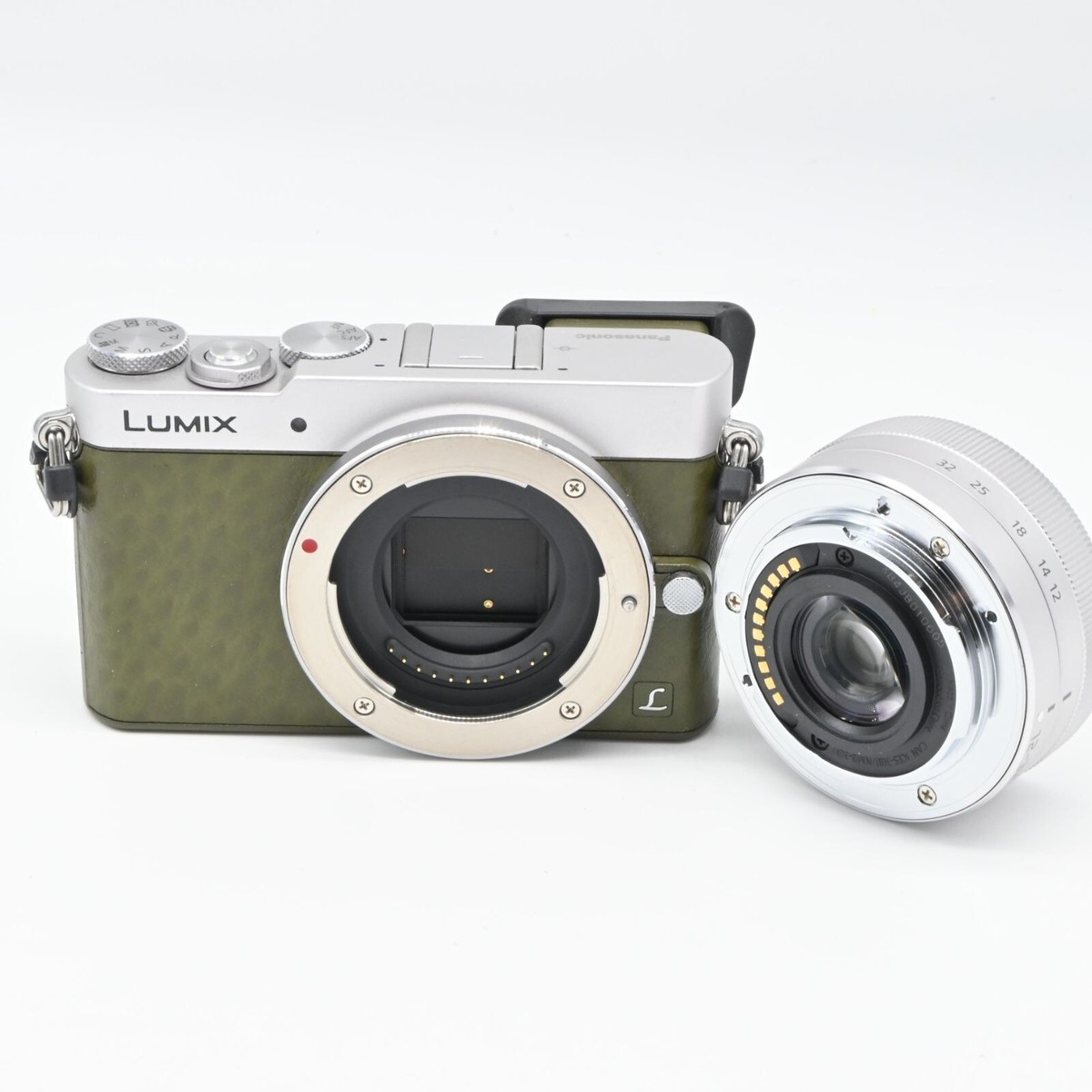 Operation confirmed] Panasonic LUMIX DMC-GM5 Green good from