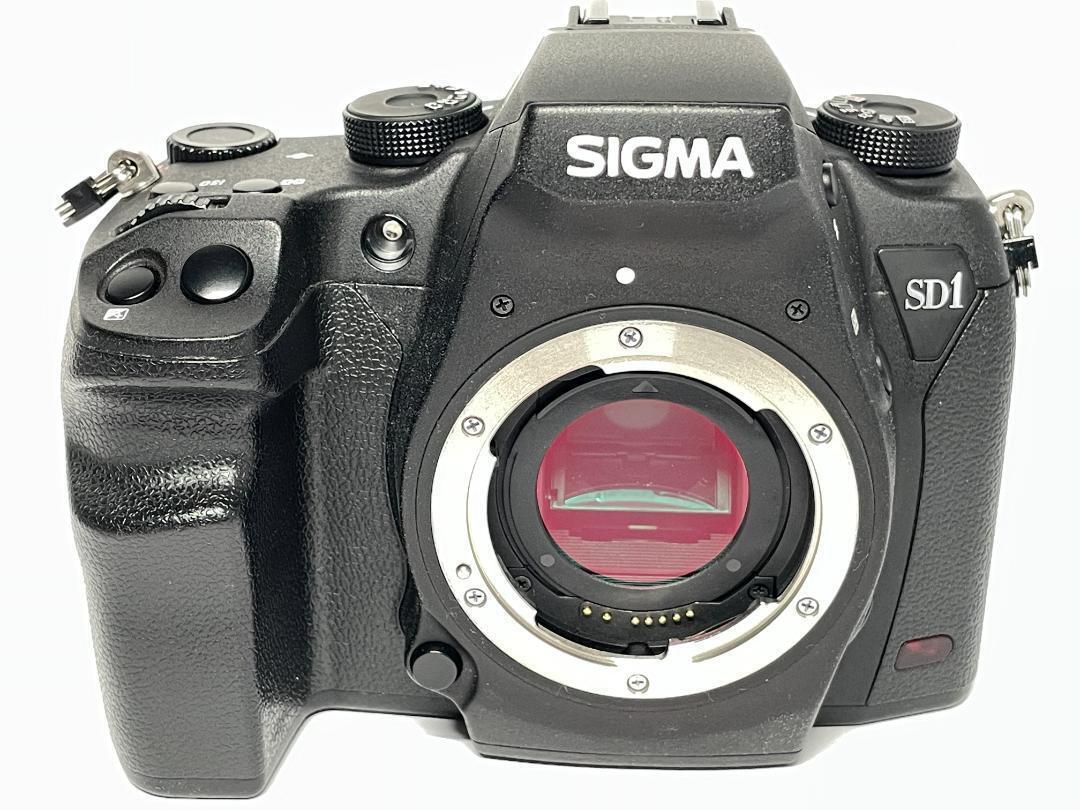 Sigma SD1 Merrill Body Excellent Used