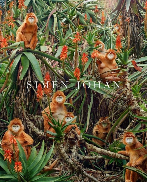 Simen Johan by Simen Johan (Hardback Book)