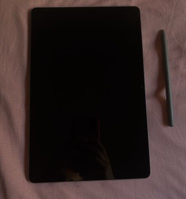 Samsung Galaxy Tab S9 FE   nur 5 Monate alt Top Zustand