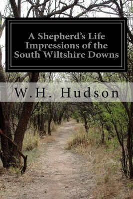 A Shepherd's Life Impressions of the South Wiltshire Downs by William Henry Huds