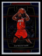 Jae'Sean Tate Houston Rockets 2021-22 Panini Select #95 Blue (Retail Base)