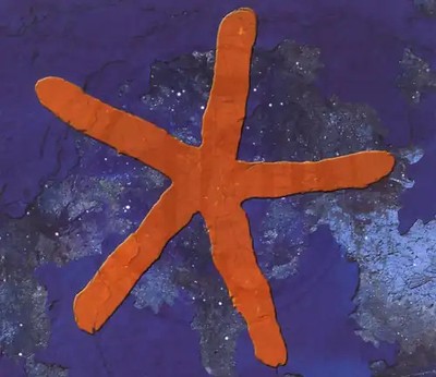 Fish - 13th Star
