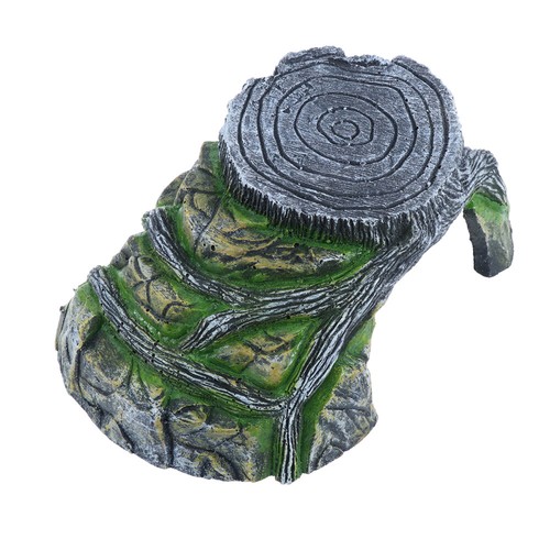 Tortue Accessoires Pour Réservoir De Tortues Habitat Reptile magasin