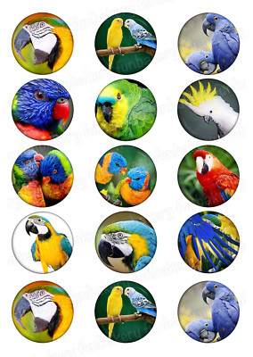Papagei Vogel Tortenaufleger Party Deko essbar Geburtstag Geschenk Cupcake Aufsteller