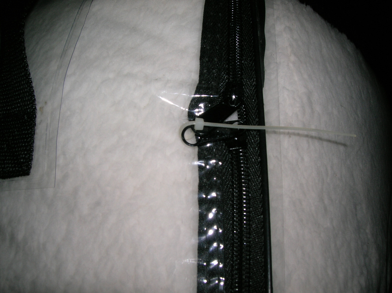 Picture 4 of 5