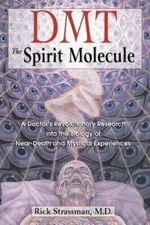 DMT: The Spirit Molecule: A Doctor's Revolutionary Research into the Biol - GOOD