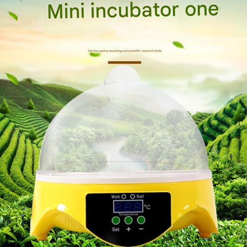 Incubator 7 Eggs Digital Bird Chicken Duck Goose Quail incubator family gift - Picture 9 of 13