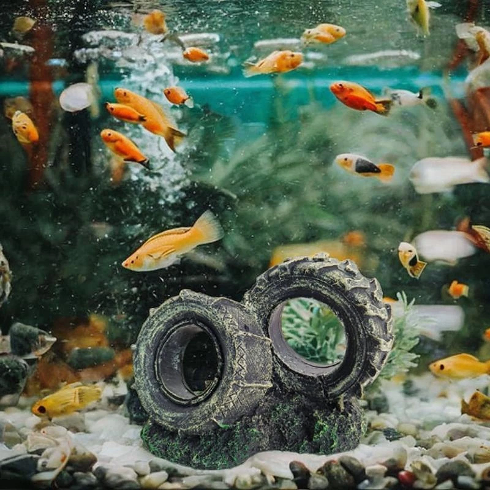 Aquarium Decor Landscaping Tyre Shape Multipurpose Aquarium Accessories Fish
Opens in a new window o
