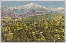 Vintage Linen Postcard California Orange Groves & Mountain View Union Pacific