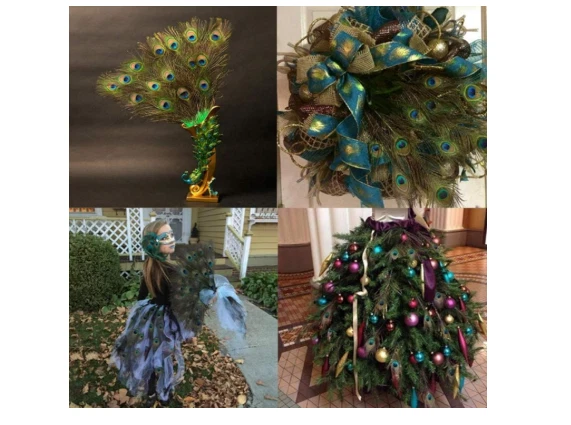 10-30 inches Natural Peacock Feathers with Big Natural Eyes 10-150 Pcs from BT - Image 3 of 4