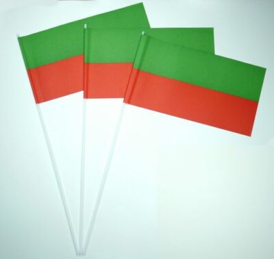 Papierfahnen grün / rot Papierfähnchen Flagge Fahne