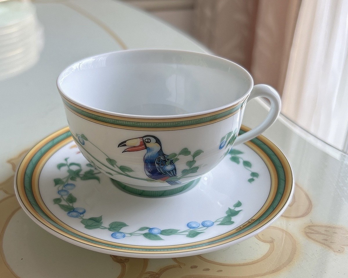 Hermes Paris Tea Cup & Saucer Toucan toucans Bird Porcelain NO BOX 