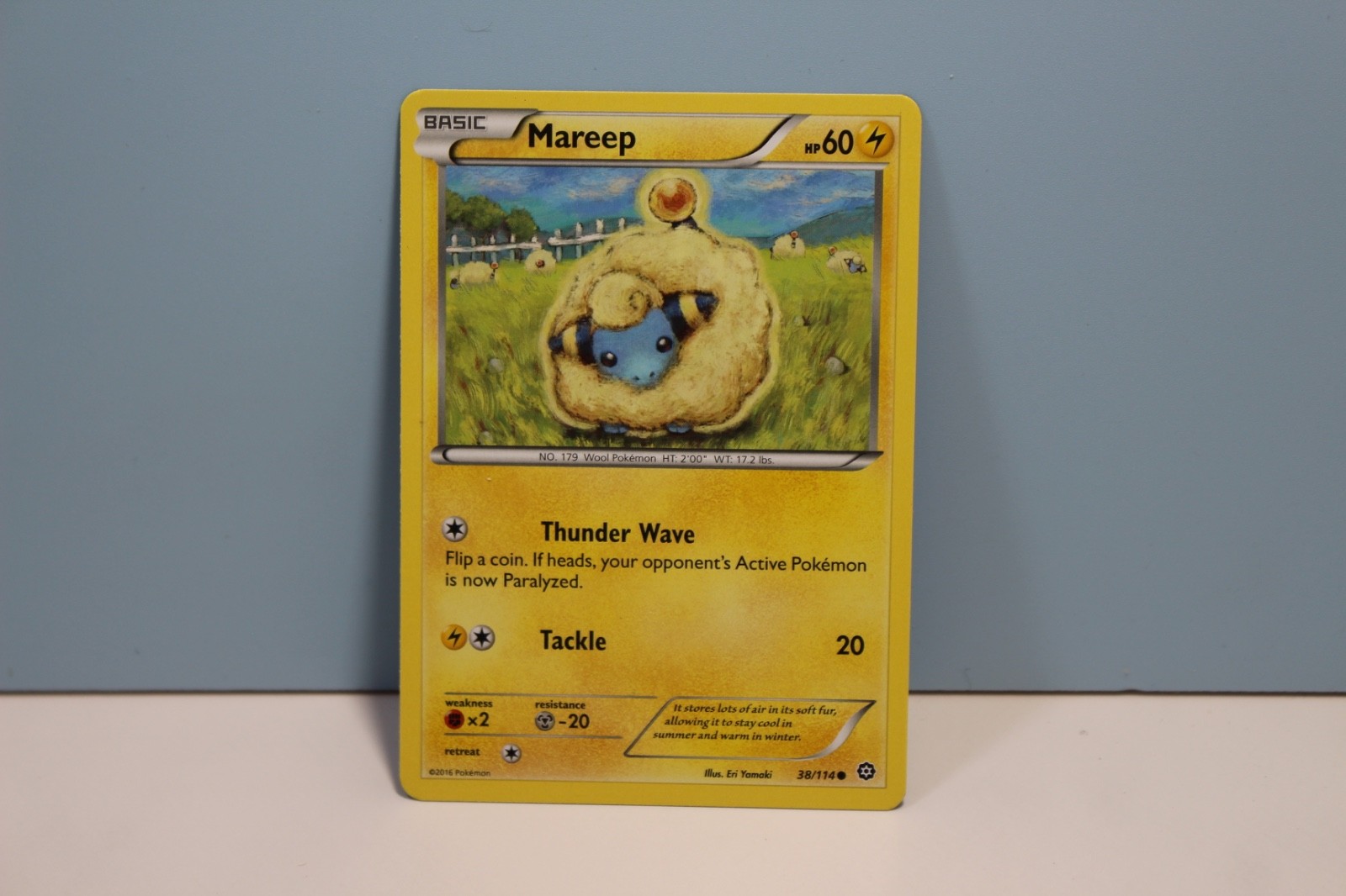 Pokémon TCG Mareep Steam Siege 38/114 Regular Common-NM
