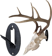 Easy European Mount Skull Hanger - Made in the USA with American Steel - Whiteta