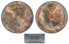 2001 1 oz Silver American Eagle - PQ Monster Rainbow Toning - PCGS MS 68 - E2973