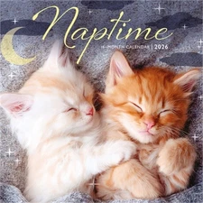 2026 Naptime Mini Wall Calendar (Calendar)