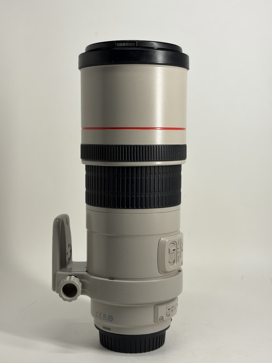 Canon EF 300mm f/4 L IS USM Lens for sale online | eBay