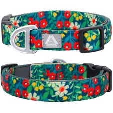 Medium Dog Collar, Neck 12"-20", Floral Green Medium Neck 12'' 20''