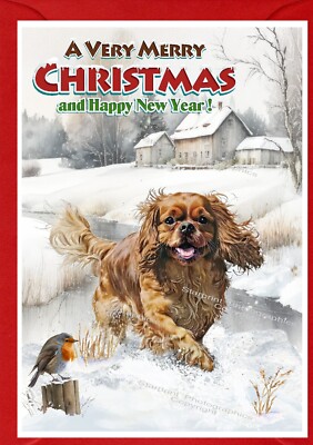 Cavalier King Charles Spaniel Dog (Ruby) (4