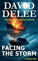 Facing The Storm David Delee Taschenbuch Brice Bannon Seacoast Adventures 2023