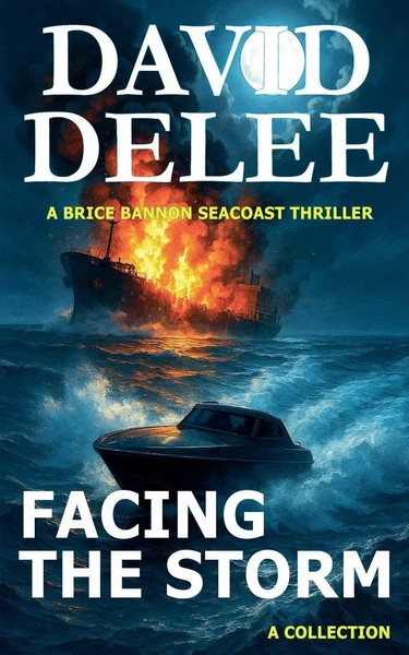 Facing The Storm David Delee Taschenbuch Brice Bannon Seacoast Adventures 2023-image