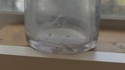 OGDEN BOTTLING WORKS  OGDEN UTAH  EMMETT BROS   PICTURE OF EAGLE — photo 5