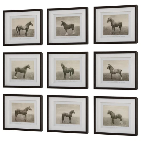 Uttermost Equine Dynasty Framed Prints; S/9 - Picture 2 of 5