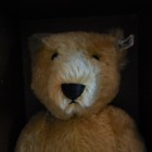 Steiff 100th Anniversary of the Teddy Bear, 1903 Repro - 0153/43, original box — photo 5