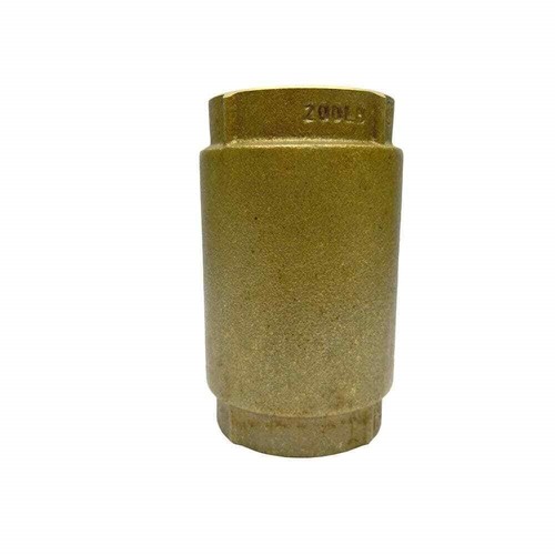 Water Source 3/4 in. Brass Check Valve CV75NL