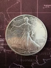 1989 American Eagle 1 oz Silver Coin Brilliant Uncirculated