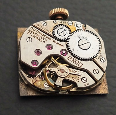 garmin 920xt strap replacement