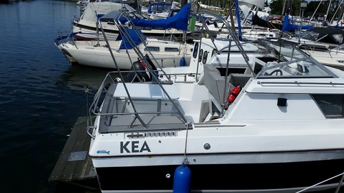 Motorboot, Kabinenkreuzer, Familienboot - Bild 8 von 12