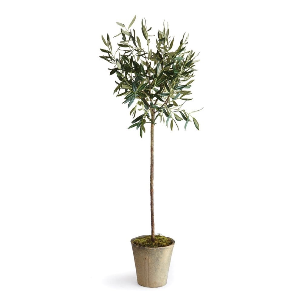 Potted 46 Inch Green Olive Tree for Home or Garden