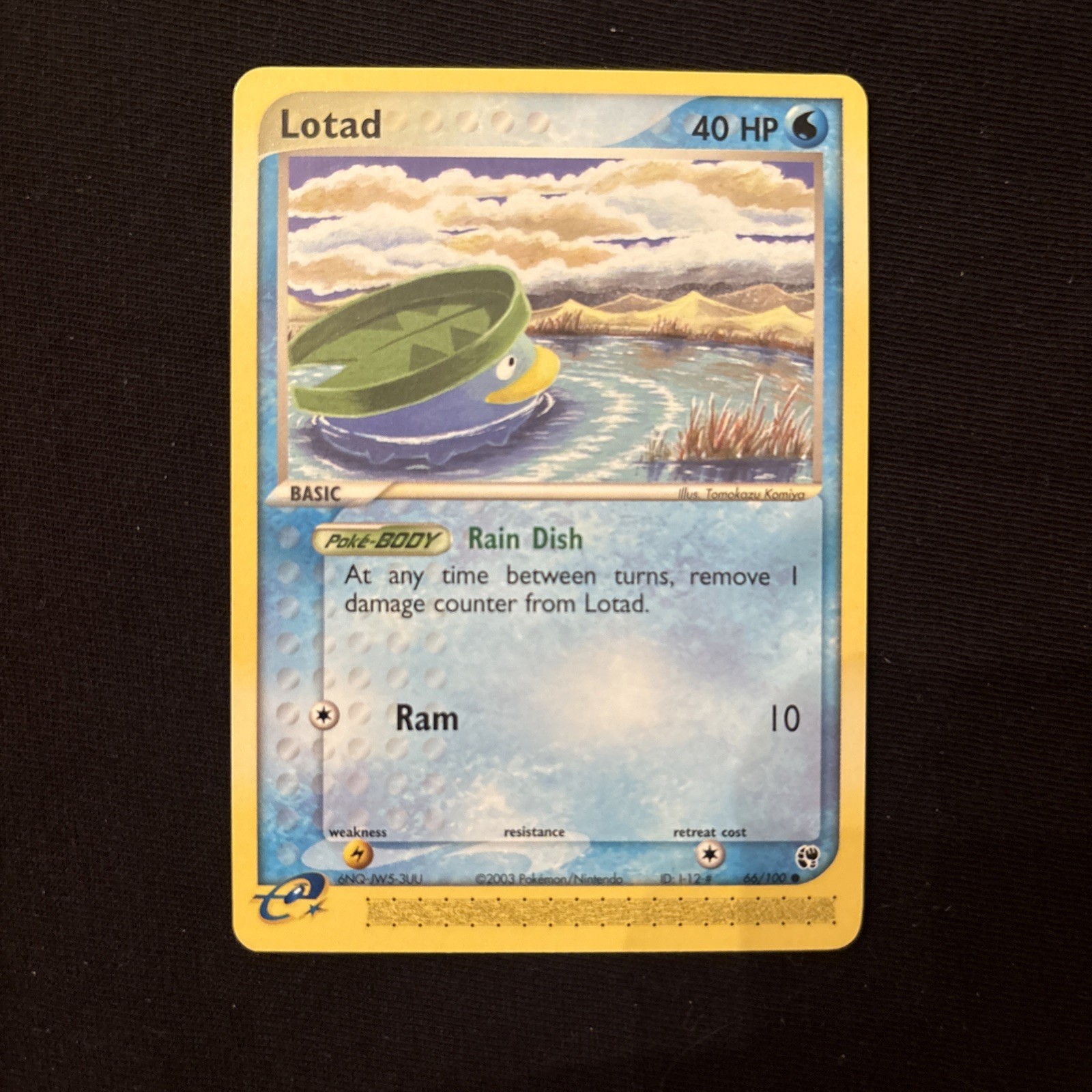 Pokémon TCG Lotad 66/100 EX Sandstorm Non-Holo Common NM