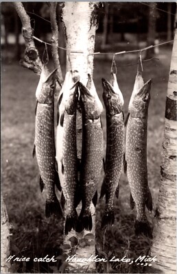 Real Photo Postcard Nice Catch Fish Hanging Line Fishing Houghton Lake Michigan