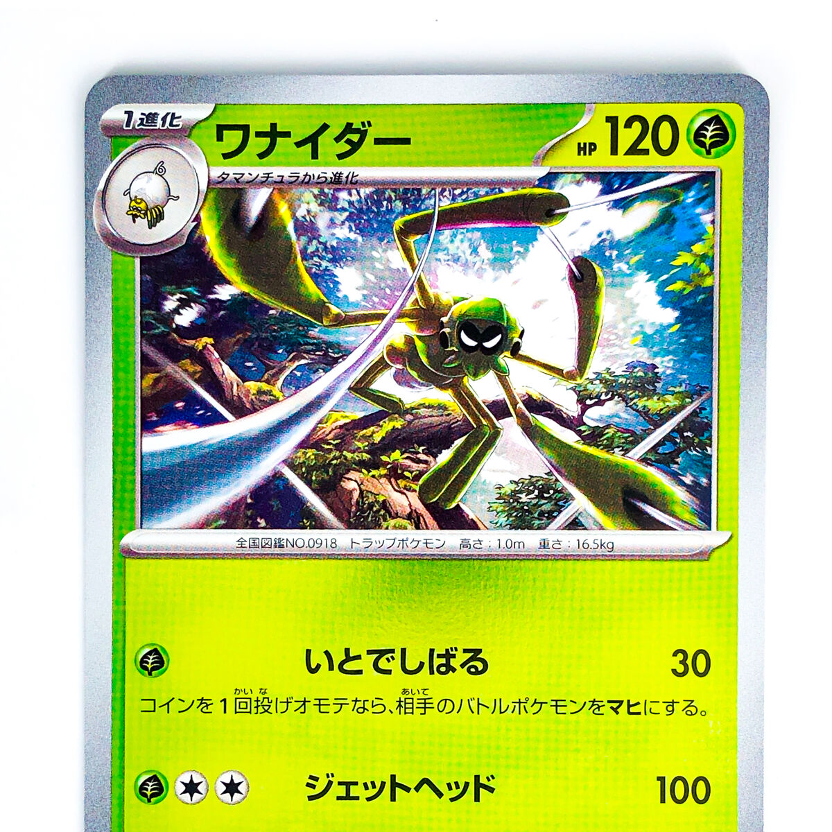 Spidops 002/SV-P Scarlet & Violet Promo - Pokemon Card Spidops 002/SV-P Scarlet & Violet Promo - Pokemon Card