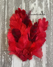Antique Vintage Millinery Velvet Red Silk Flower Pad with Black Red Feathers
