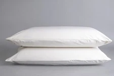 Sleep & Beyond Organic Cotton Ivory Pillow Encasement Pair