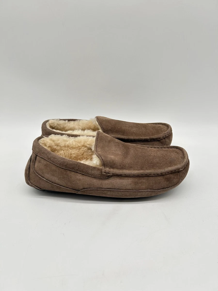 UGG Ascot Herren Hausschuhe Braun EUR 40,5
