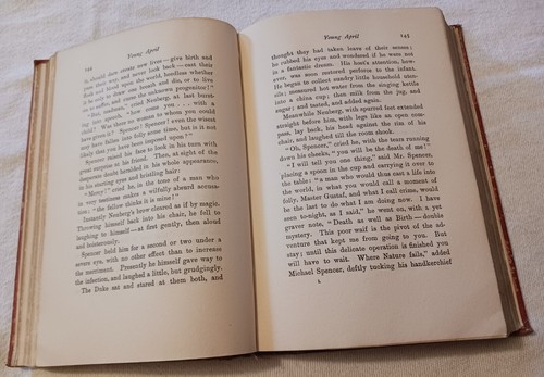 Young April - Book By Egerton Castle (1907, The Macmillan Company) - Picture 6 of 6