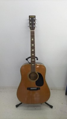 Stone Akustikgitarre W-40 gebraucht