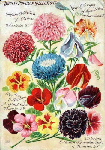 Old Victorian Floral Clip Art Patterns Print Poster Wall Picture Image A4 size - Picture 1 of 2