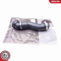 Esen Skv Ladeluftschlauch 24SKV720 FüR Bmw 5Er E60 Touring E61 535