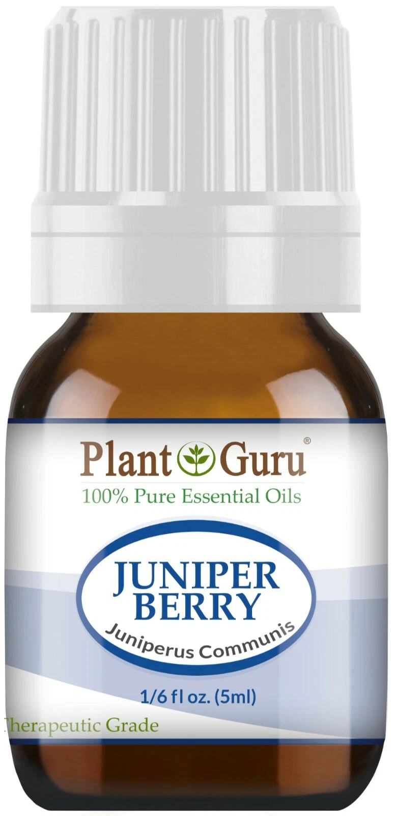 Juniper Berry