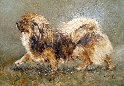 Tibetischer Spaniel Hund A6 (6 Zoll x 4 Zoll) leeres Notizblatt Design Nr. 24 von Starprint