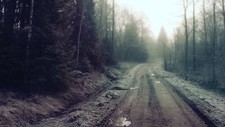 Landscape road mist dirty trees forest nature grass Custom Gaming Mat Desk